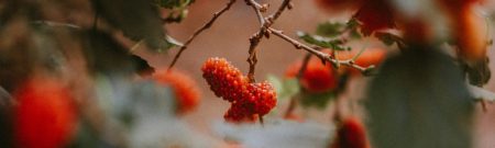 福岡県内店舗・施設対象感染防止宣言ステッカーを取得しました